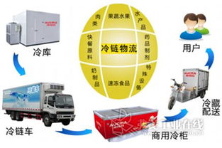 國內外聯動打造北方食品冷鏈物流集散中心，優化供應鏈管理服務